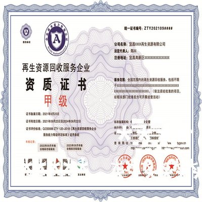 再生資源回收服務(wù)企業(yè)資質(zhì) 推動(dòng)信息化與互聯(lián)網(wǎng)咨詢服務(wù)發(fā)展的新引擎